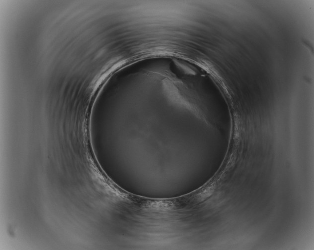 X0000100970806200806241550