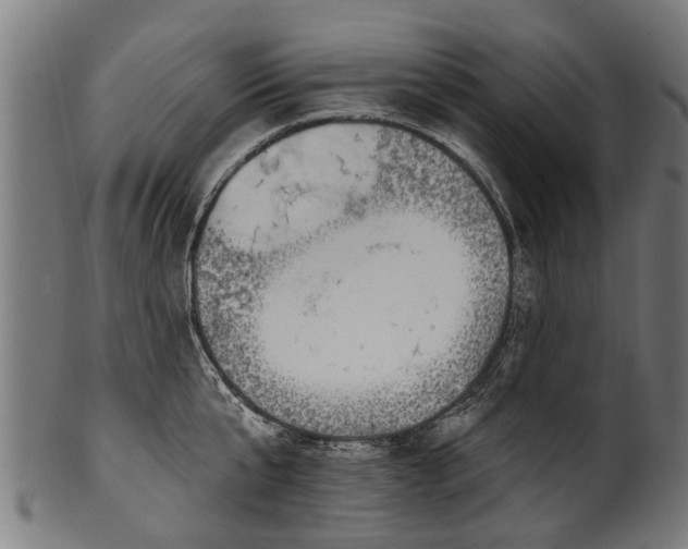 X0000100970807200806241550