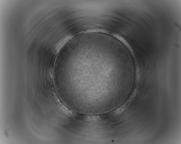 X0000100970809200806241550