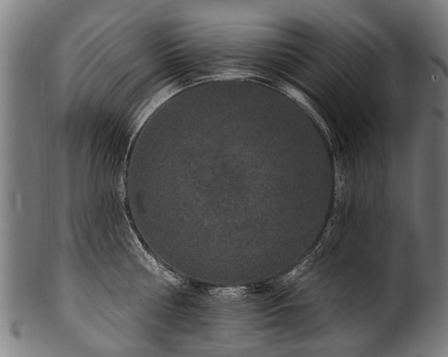 X0000100970810200806241550