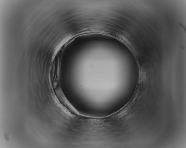 X0000100970812200806241550