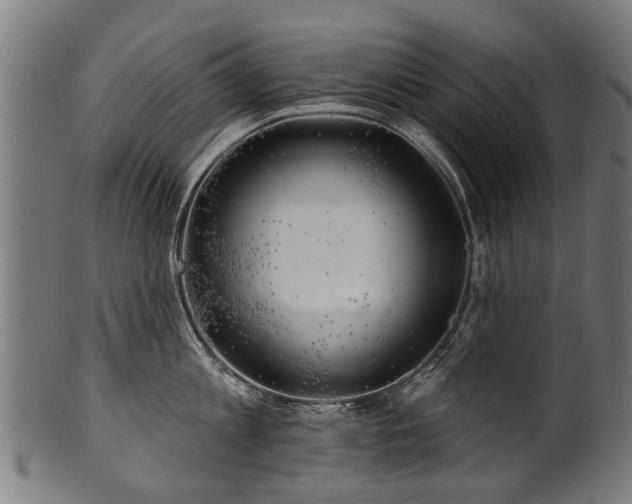 X0000100970813200806241550