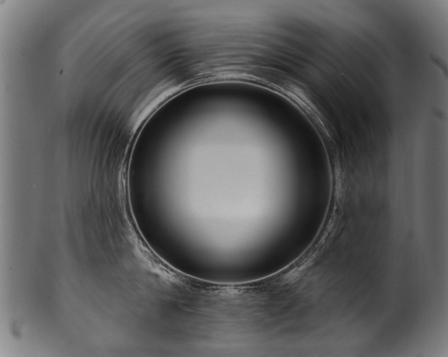 X0000100970814200806241549