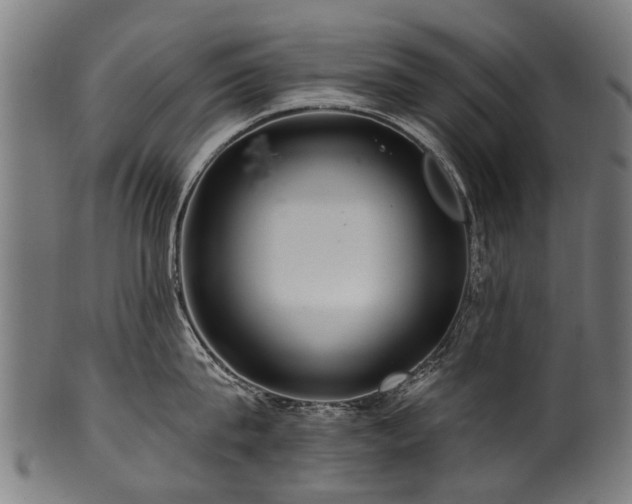 X0000100970815200806241549