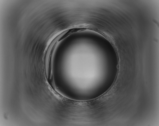 X0000100970816200806241549