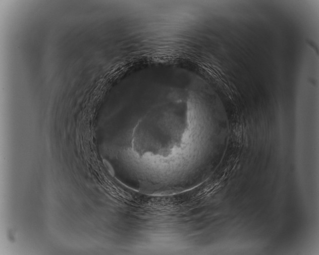 X0000100970817200806241549