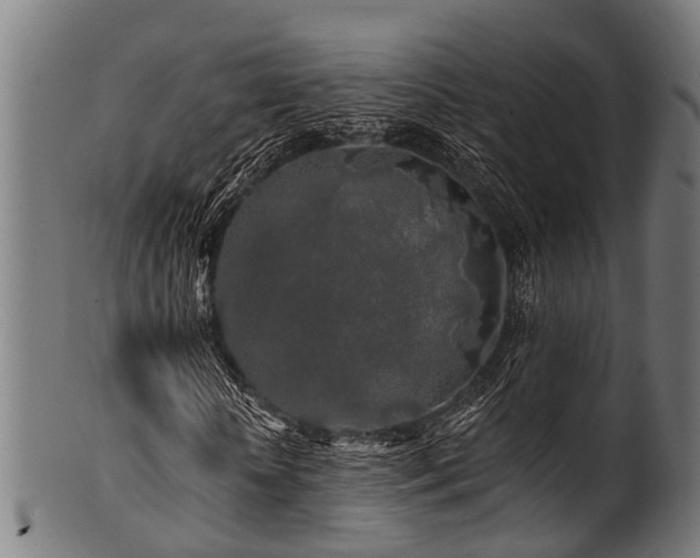 X0000100970818200806241549