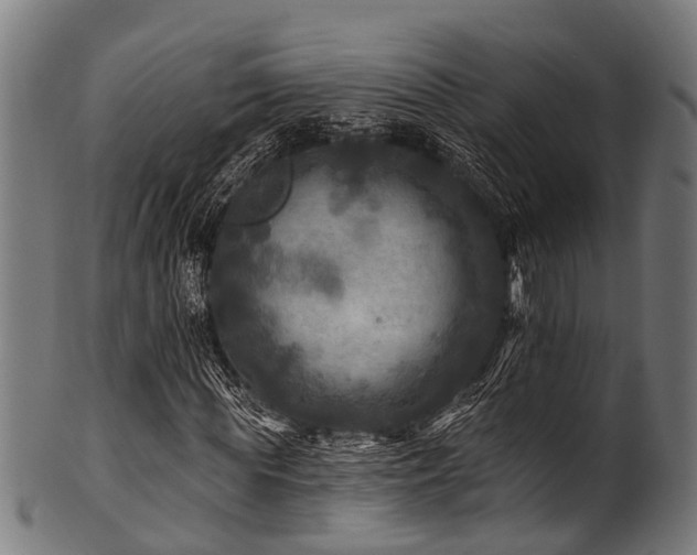 X0000100970819200806241549