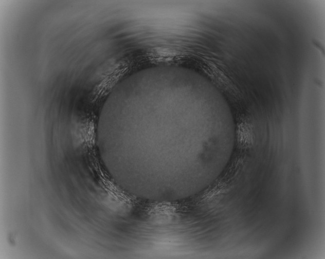 X0000100970820200806241549