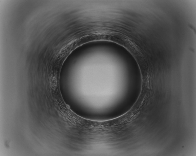 X0000100970821200806241549