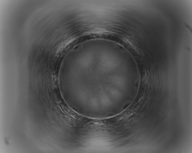 X0000100970822200806241549