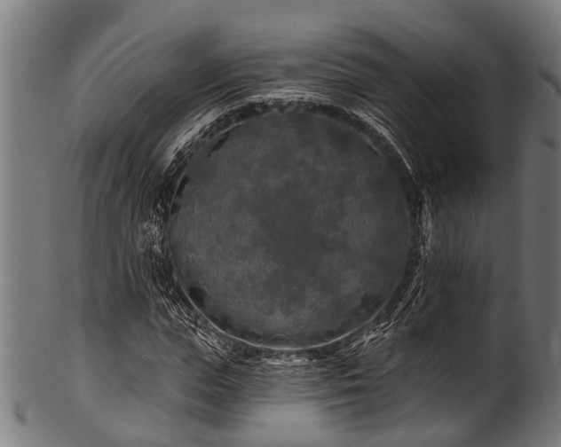 X0000100970823200806241549