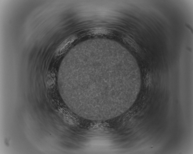 X0000100970824200806241549