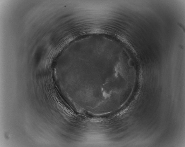 X0000100970825200806241549