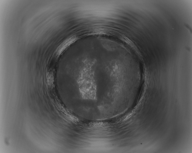 X0000100970826200806241549