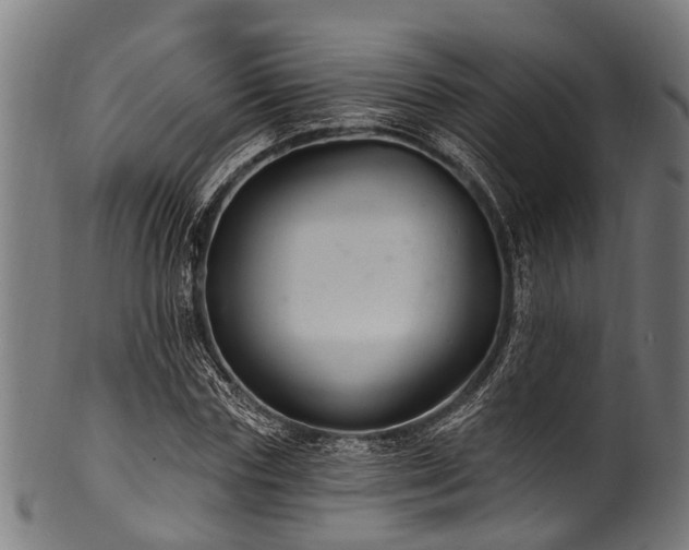 X0000100970827200806241549