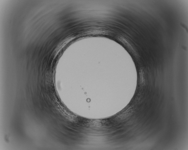 X0000100970828200806241549