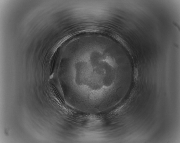 X0000100970829200806241549