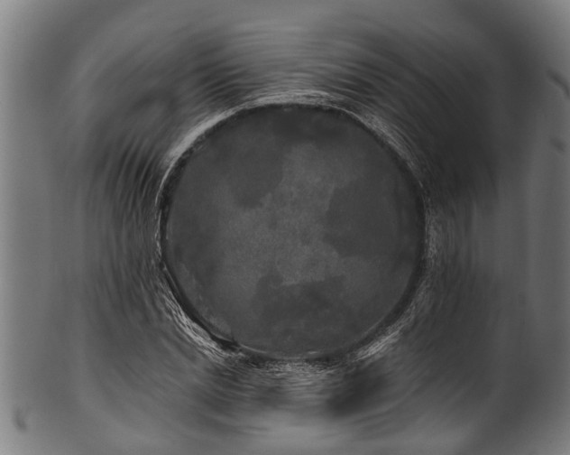 X0000100970830200806241549