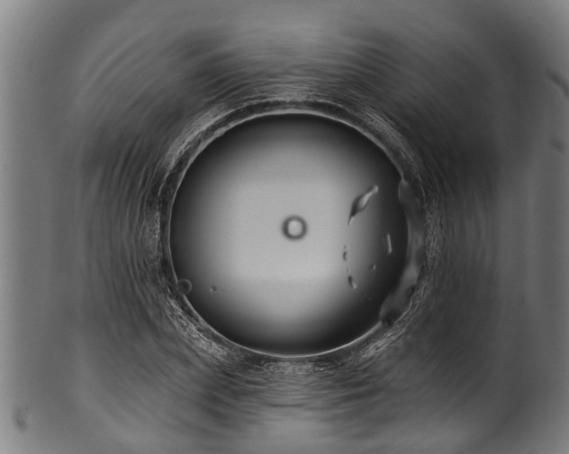 X0000100970831200806241549