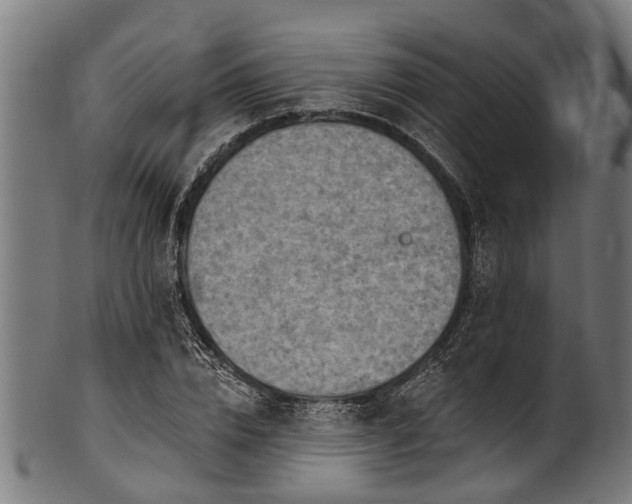 X0000100970832200806241549