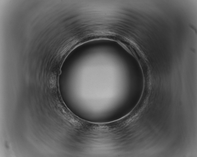 X0000100970833200806241549