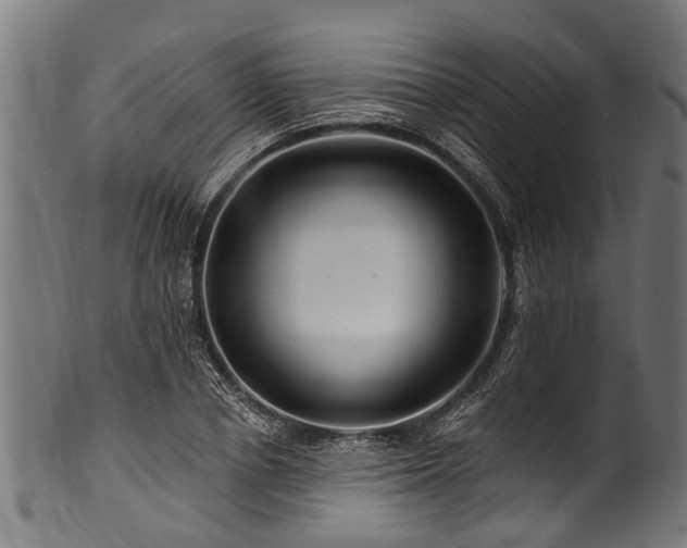 X0000100970834200806241549