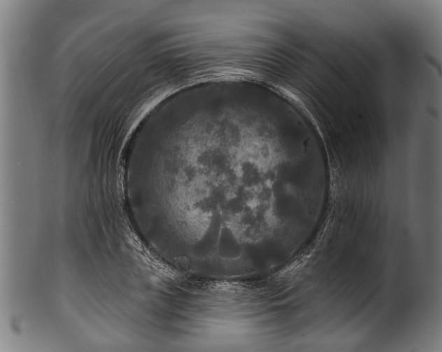 X0000100970835200806241549