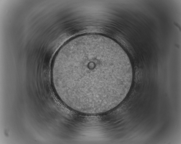 X0000100970836200806241549