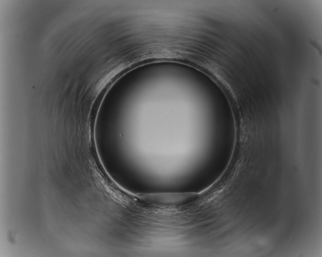 X0000100970837200806241549