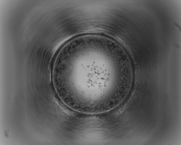 X0000100970838200806241549