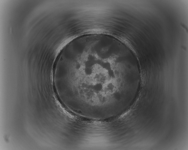 X0000100970839200806241549