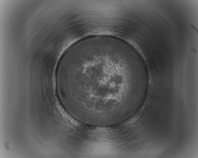 X0000100970840200806241549