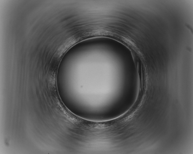 X0000100970841200806241549