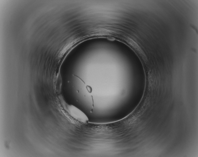 X0000100970842200806241549