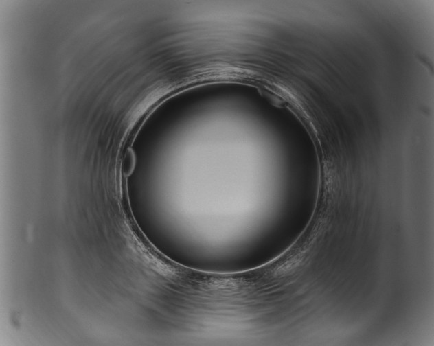 X0000100970843200806241549