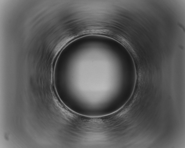 X0000100970844200806241549