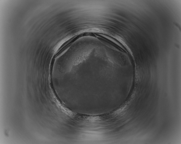 X0000100970845200806241549