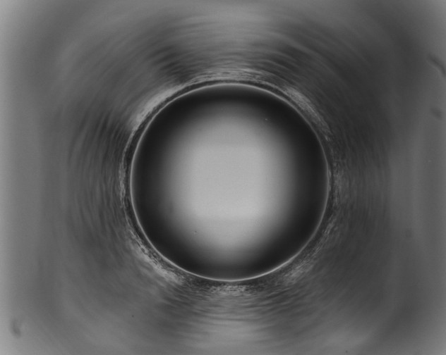 X0000100970846200806241549