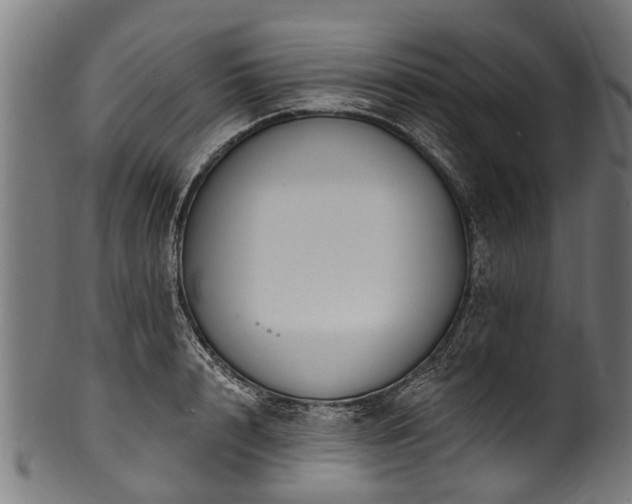 X0000100970848200806241549