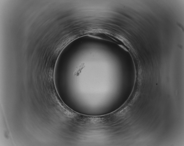 X0000100970849200806241549