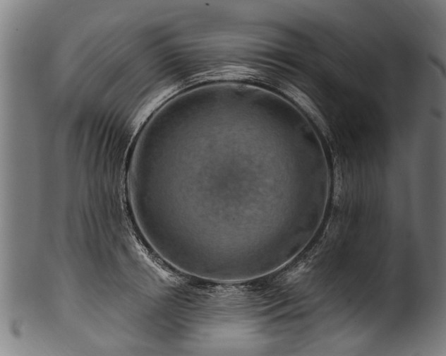 X0000100970850200806241549