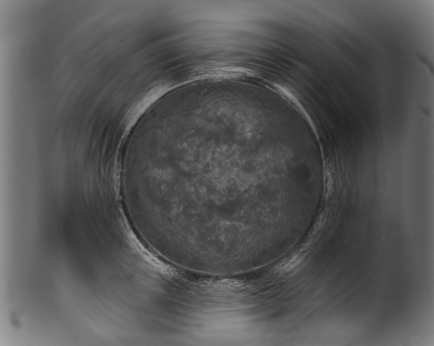 X0000100970851200806241549