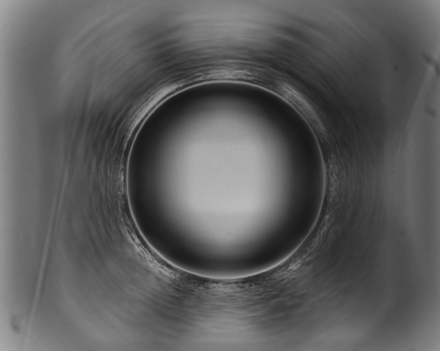 X0000100970852200806241549