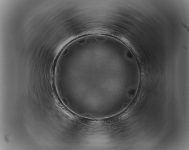 X0000100970854200806241549