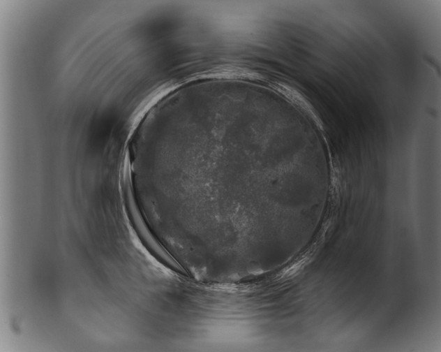 X0000100970855200806241549