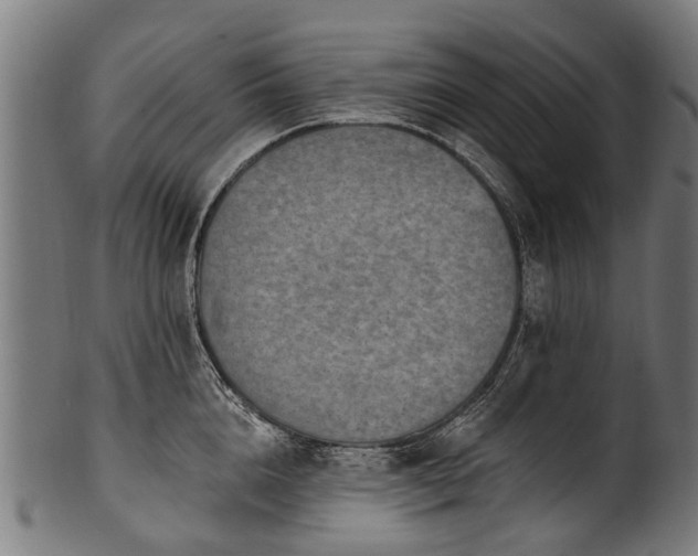 X0000100970856200806241549