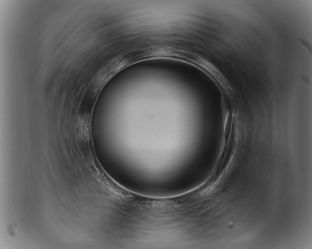 X0000100970857200806241549