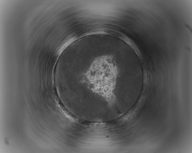 X0000100970858200806241549