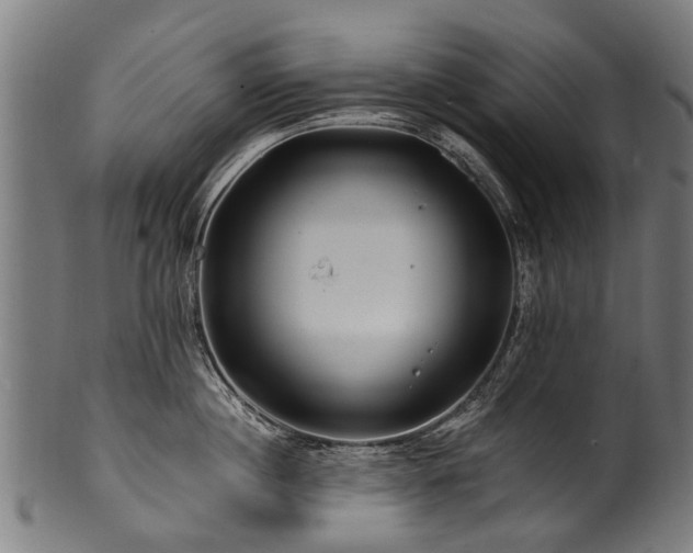 X0000100970860200806241549